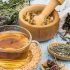 Fitoterapi Nedir