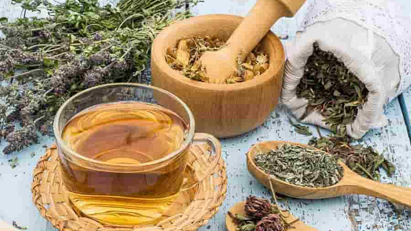 Fitoterapi Nedir